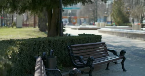 Empty Park Alley in City. Pan Right View of Empty Benches and Paved Alley on Sunny Day in City