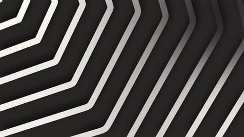 Abstrakte Unternehmens- Weiß und Schwarz Grau Bunte Streifen Linie Hintergrund