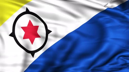 Realistic Waving Flag Loop Animation