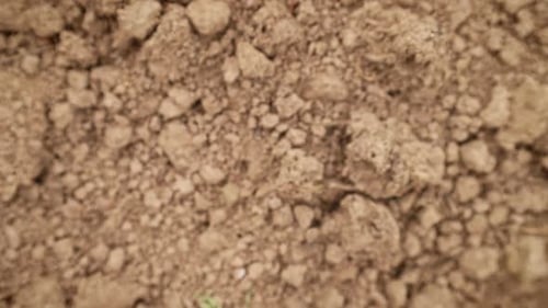 Close Up of Dry Lumpy Brown Dirt