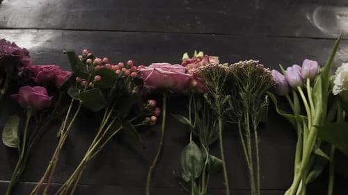 Medium Close Up Footage of a Colorful Variety of Flowers in Bloom Exposed in a Row on a Dark Wooden