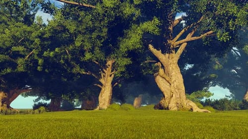 Lush Green Forest Landscape with Ethereal Floating Lights