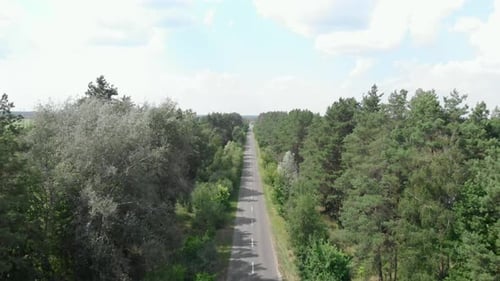Leere Autostraße im Wald.