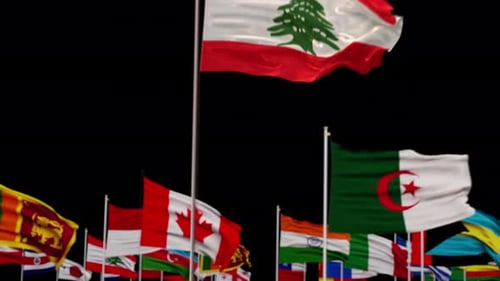 Animated Waving National Flags Reveal Transition
