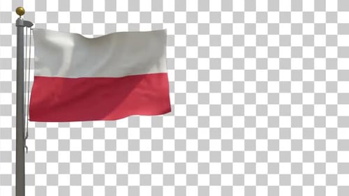 Realistic Waving Poland Flag Animation on Flagpole