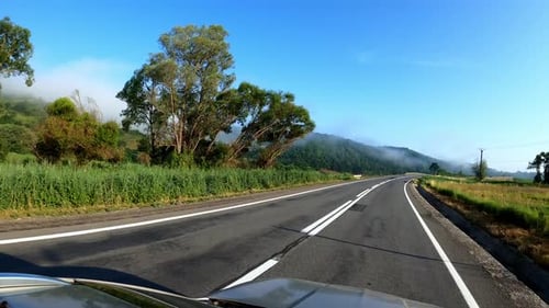 POV shot of driving a car on the road along the forest and mountains. Traveling in the summer by car