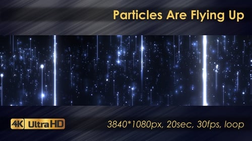 Particles Are Flying Up