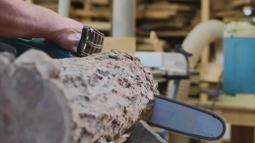Chainsaw Cuts Log in Woodshop