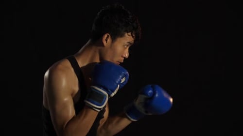 Dedicated Boxer Training in Dramatic Lighting
