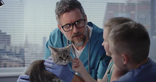 Veterinarian Examining Cat for Children at Animal Hospital