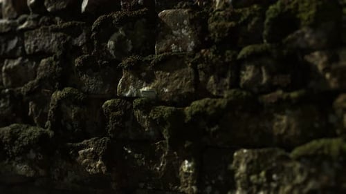 Dynamic Sunlight on a Mossy Stone Wall Texture Animation