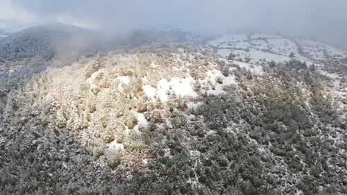 Winter Foggy Forest High Mountains Covered with Snow