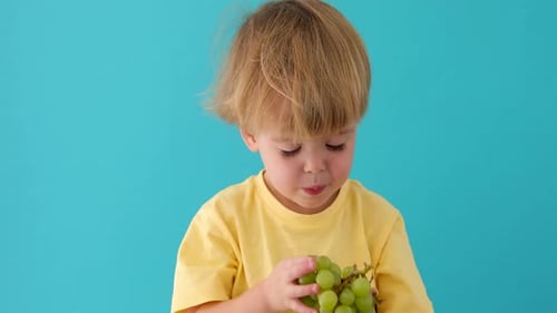Boy Enjoys Eating Healthy Green Grapes