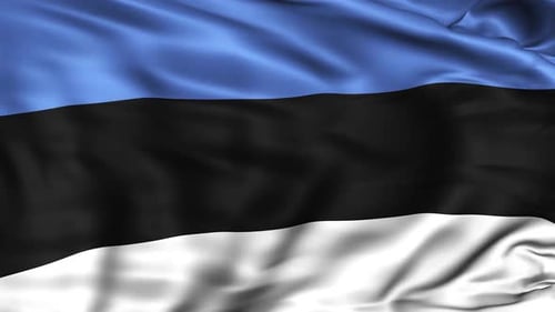 Realistic Waving Flag of Estonia Animation