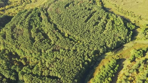 Belarus. Aerial View Of Green Forest And Meadow Landscape In Sunny Evening. Top View Of European