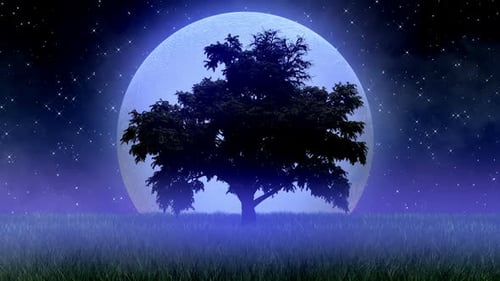 Animated Night Landscape with Glowing Moon, Twinkling Stars, and Solitary Tree