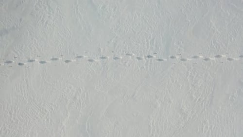 Lone Traveler with a Backpack Walks Through the Snowy Desert