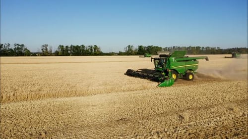 Combine Harvesting Wheat Top View of a Wheatfield