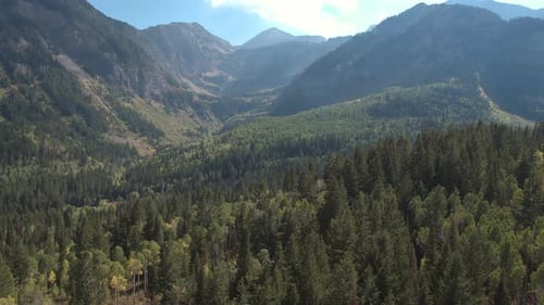 Aerial view of green forest stretching across the mountain valley