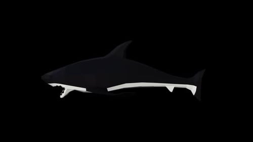 Geometric Shark Icon with Biting Teeth Animation