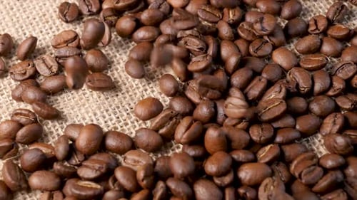 Coffee Beans Pouring onto Burlap Surface