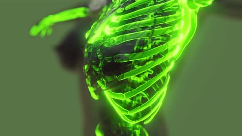 Futuristic Glowing Human Skeleton Anatomy Scan