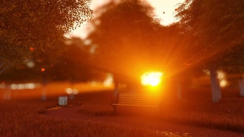 Autumn Park Bench Landscape With Sunset