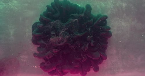 Ink Water Explosion Color Fluid Splash Grau Farbe