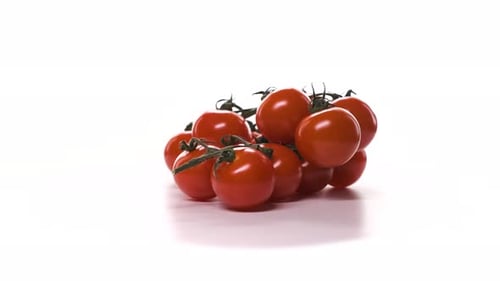 Fresh Red Tomatoes on Several Branch Rotate on White Background