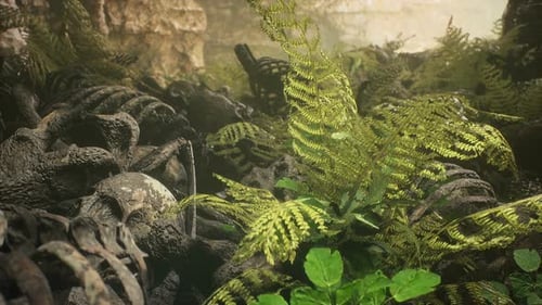 Ancient Skeletal Remains And Bones