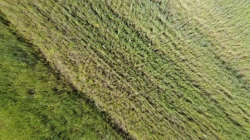 Aerial drone view of a flying over the rural agricultural landscape.