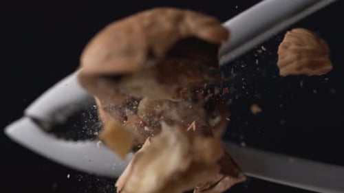 Walnut in nut cracker. Slow Motion.