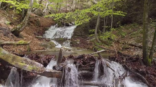 Moving Backward over Clear Water of Mountain Stream Flow in Sunny Spring Forest