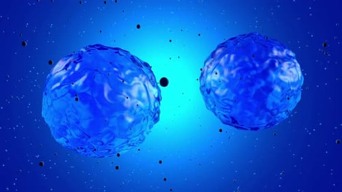 3D gerenderte Animation, Visualisierung einer Stammzellteilung