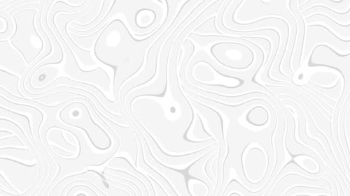 Seamless Abstract White Fluid Lines Motion Background