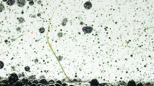 Background from Bubbles