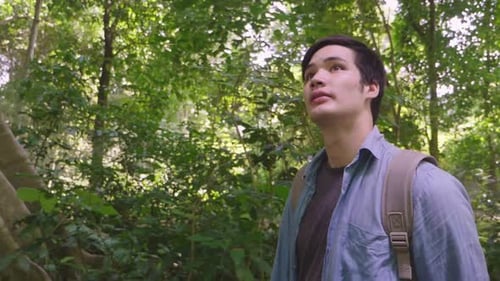 Asian Man Walking And Looking Around In Tropical Forest