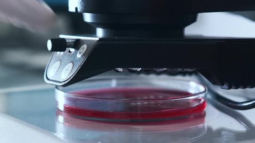 Close Up Petri Dish Under Microscope
