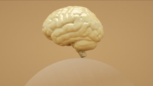 Melting Brain