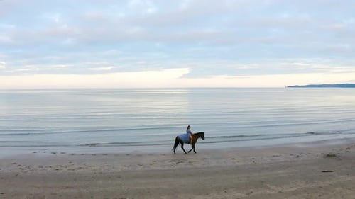 Woman Riding Horse on Beach Near Ocean