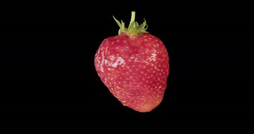 Red Strawberry Rotates Alpha Channel