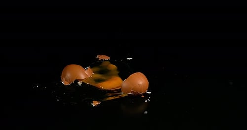 Egg falling and Exploding on black background, Slow Motion 4K