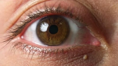 Extreme Close Up Of A Human Eye Opening