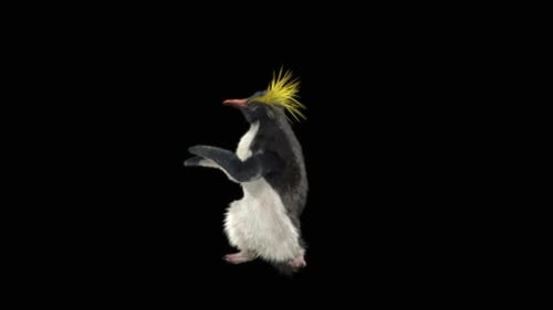 Penguin Dancing HD