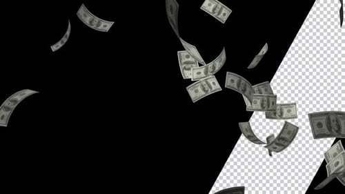 Realistic Falling US Dollar Bills Animation