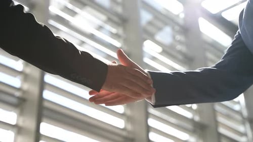 Close Up of Business Handshake in Bright Office