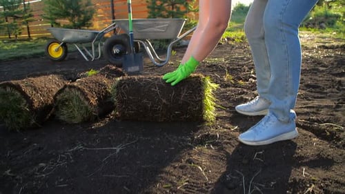 Yard and Garden Landscaping Concept