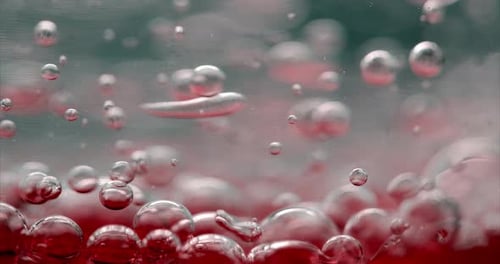 Purple Bubbles in Water. Close-up Video of Bubbles in Liquid.