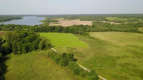 Wild Nature Of The Lake Zaronovo 51