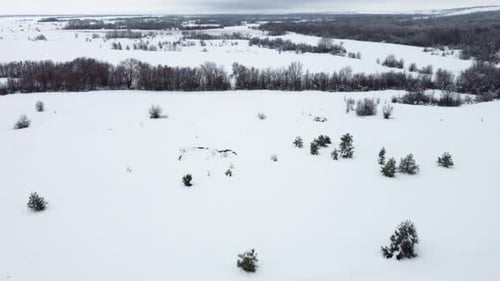 Snow Covered Fields